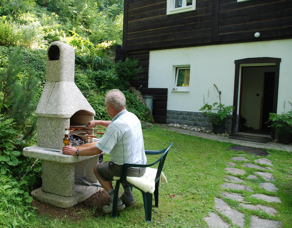 Na Cernem Potoce Villa Rokytnice nad Jizerou Kültér fotó