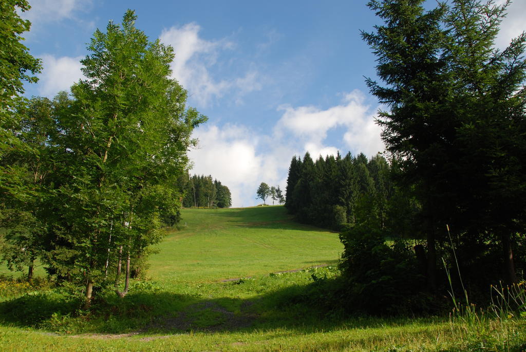 Na Cernem Potoce Villa Rokytnice nad Jizerou Kültér fotó